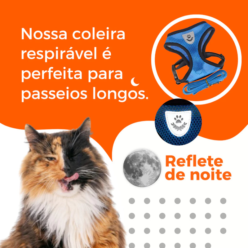 Coleira Peitoral Para Cachorro Pet Ajustável Colete Refletivo + Guia