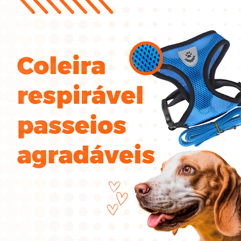 Coleira Peitoral Para Cachorro Pet Ajustável Colete Refletivo + Guia